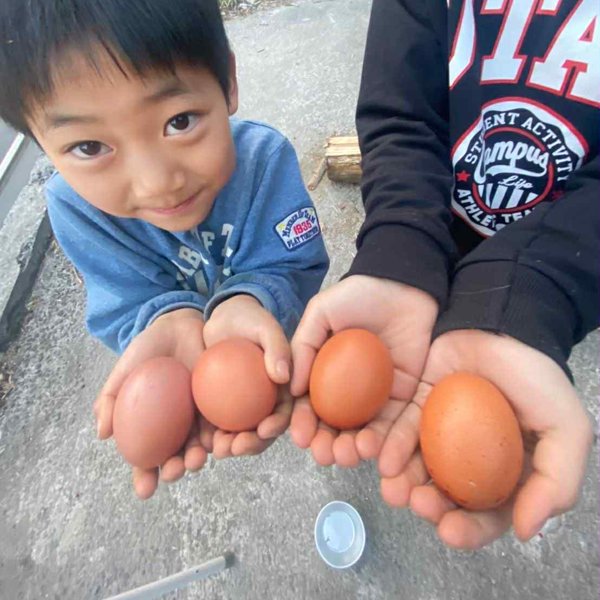 とれたての卵を持つ子ども
